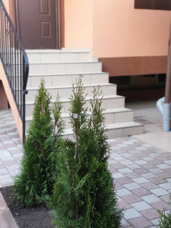 Villa Accommodation Bucharest Luaran gambar