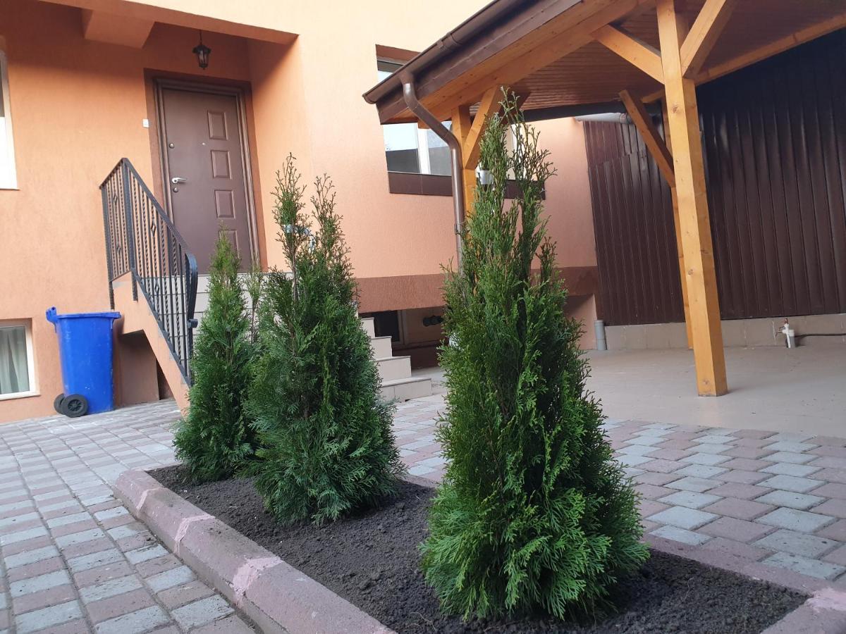 Villa Accommodation Bucharest Luaran gambar