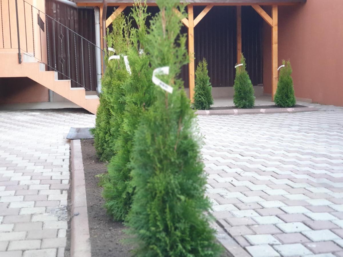 Villa Accommodation Bucharest Luaran gambar